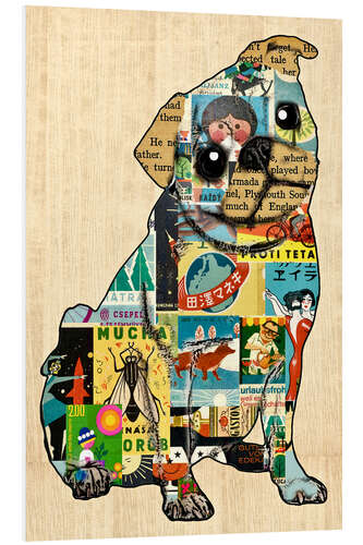 Foam board print Pug Collage