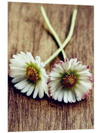 Foam board print Daisy Vintage