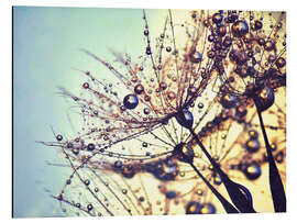 Magnettafel Pusteblume Farbentraum