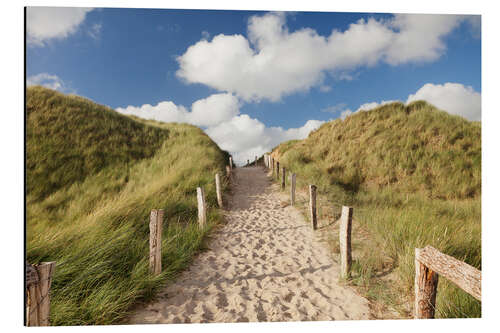 Aluminiumsbilde Sylt, path through dunes