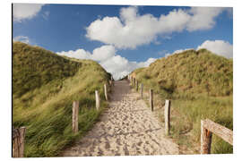 Aluminiumsbilde Sylt, path through dunes