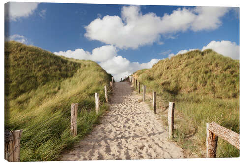 Lærredsbillede Sylt, path through dunes
