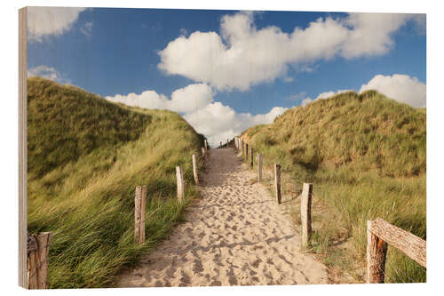 Quadro de madeira Sylt, path through dunes