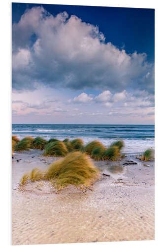 PVC print Baltic shore magic morning