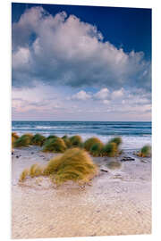 Foam board print Baltic shore magic morning