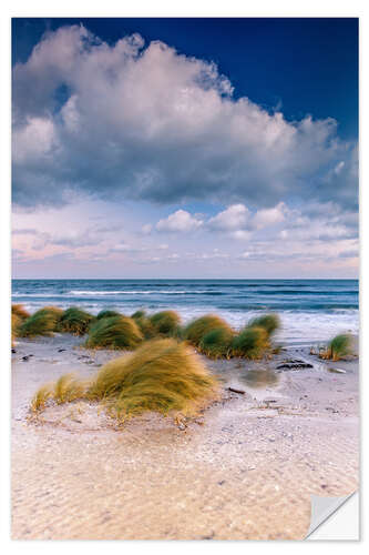 Naklejka na ścianę Baltic shore magic morning