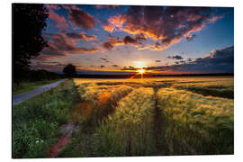 Magnettafel Letztes Licht