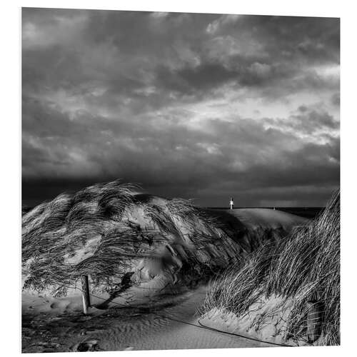 PVC-tavla Dünen an der Ostsee mit Leuchtturm monochrome