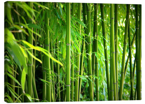 Canvastavla Bamboo II