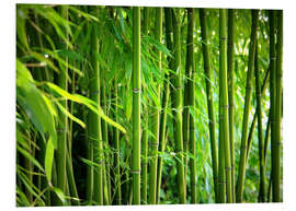 Foam board print Bamboo II