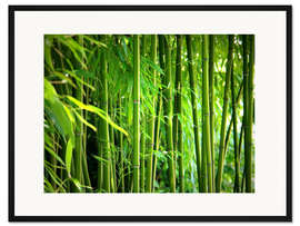 Gerahmter Kunstdruck Bambus II