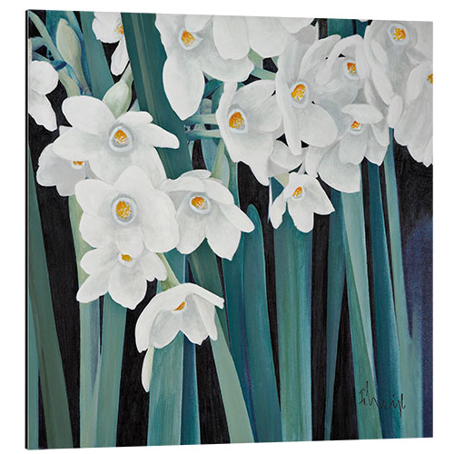 Cuadro de aluminio Daffodils