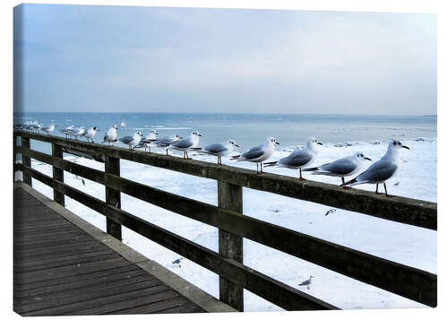 Canvas print Seagull line-up, Baltic Sea