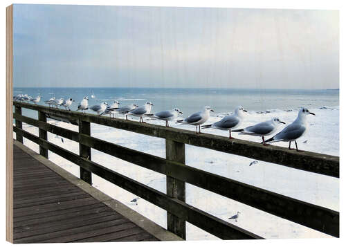 Wood print Seagull line-up, Baltic Sea