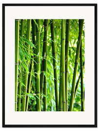 Gerahmter Kunstdruck Bambus I