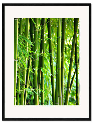 Kehystetty taidepainatus Bamboo I