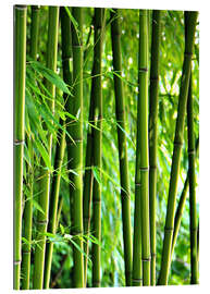 Gallery print Bamboo I