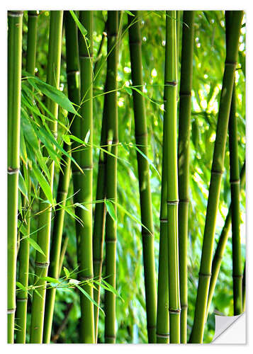 Sisustustarra Bamboo I