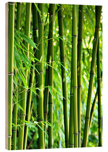 Wood print Bamboo I