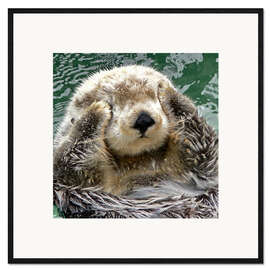 Impression artistique encadrée Portrait de loutre