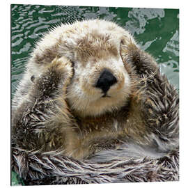 Magnettafel Fischotter Portrait