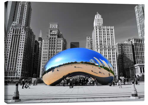 Canvas print Chicago Bean