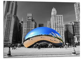 Gallery Print Chicago Bean