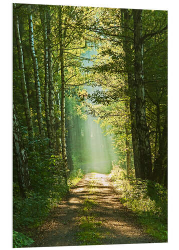 Tableau en PVC Chemin vers la lumière