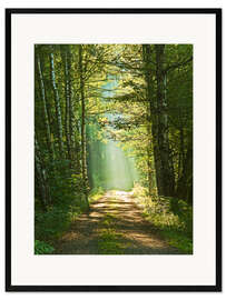 Framed art print Into the light