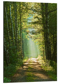 Magnettafel Weg ins Licht