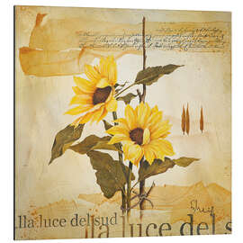 Magnettafel Licht des Südens