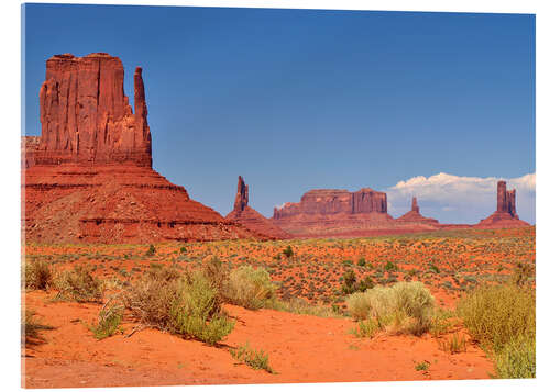 Acrylglas print Monument Valley I