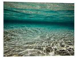 Foam board print Underwater view of tropical green lagoon, Raja Ampat