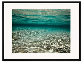 Gerahmter Kunstdruck Tropische grüne Lagune Raja Ampat Inseln Unterwasser-Blick