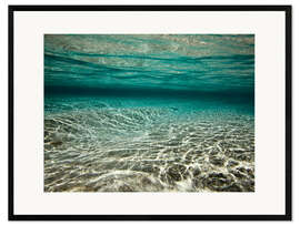 Ingelijste kunstdruk Underwater view of tropical green lagoon, Raja Ampat