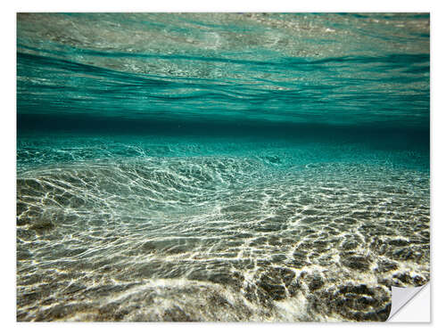 Selvklebende plakat Underwater view of tropical green lagoon, Raja Ampat