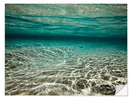 Selvklebende plakat Underwater view of tropical green lagoon, Raja Ampat