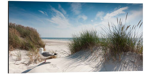 Aluminium print Dune dreams on the Island Sylt