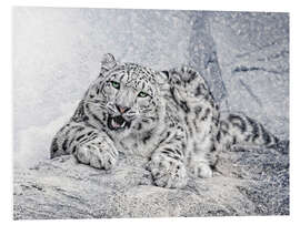 Foam board print snow leopard