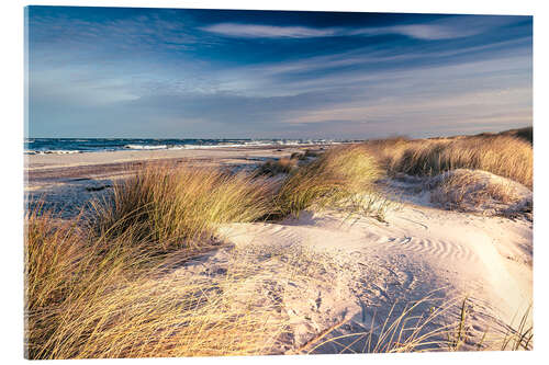 Acrylic print Sand dunes at the beach