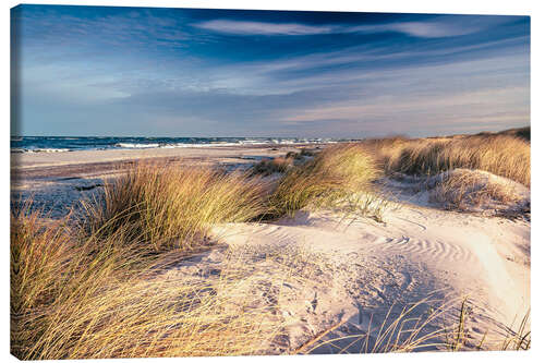 Obraz na płótnie Sand dunes at the beach