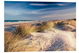 Foam board print Sand dunes at the beach