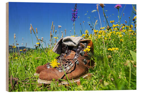 Puutaulu Hiking Alps