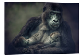 Acrylglasbild  Gorilla Zwillinge - Manuela Kulpa