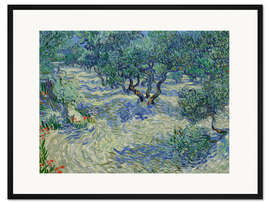 Gerahmter Kunstdruck Olivenhain