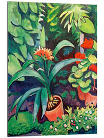 Magnettafel Blumen im Garten, Clivia und Pelargonien