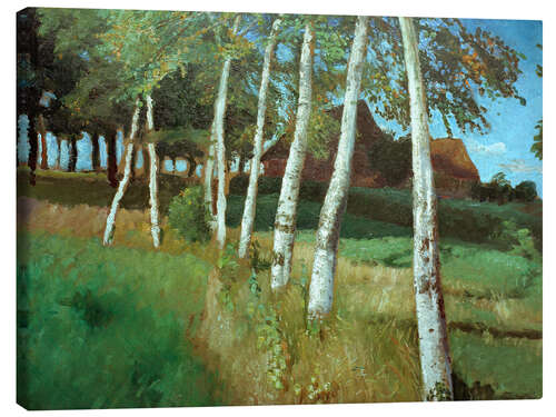 Canvas-taulu Birches in the marsh