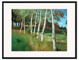 Impresión de arte enmarcada Birches in the marsh