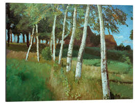 Magnettafel Birken im Moor