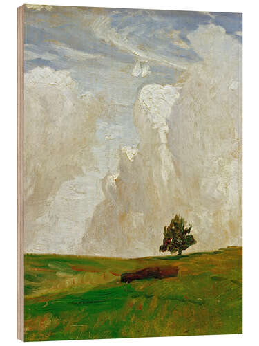 Tableau en bois Montagne de nuages